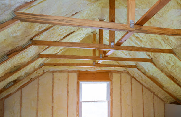 Best Cellulose Insulation in Canyon Day, AZ